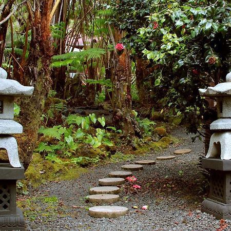Lotus Garden Cottages Volcano Eksteriør bilde