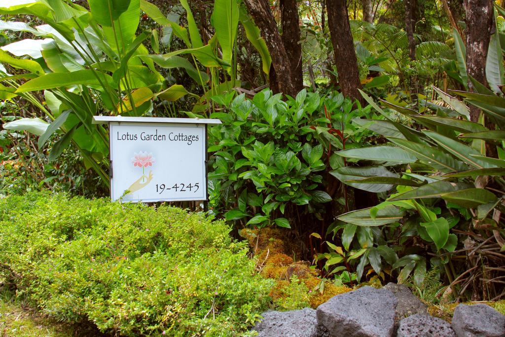 Lotus Garden Cottages Volcano Eksteriør bilde